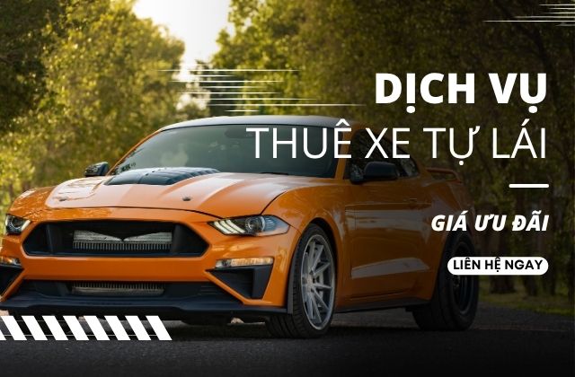 Dịch vụ thuê xe tự lái – Lựa chọn hoàn hảo cho chuyến đi của bạn