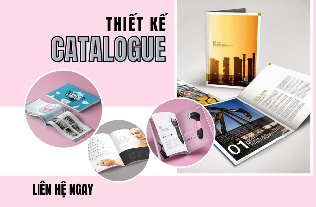 Tại Sao Doanh Nghiệp Nên Đầu Tư Vào Thiết Kế Catalogue Chuyên Nghiệp?