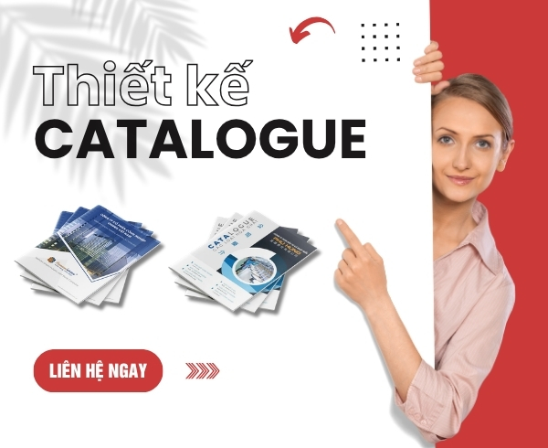 Thiết kế catalogue Lâm Đồng chuyên nghiệp